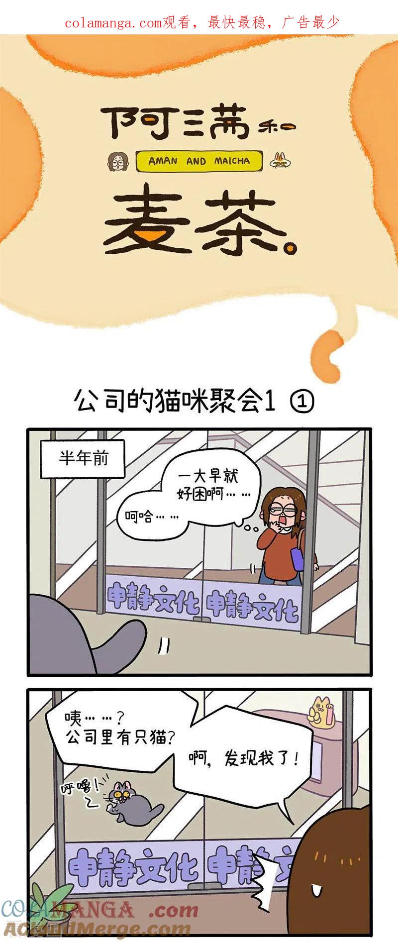 第65话1公司的猫咪聚会-阿满和麦茶-新漫画 日胖大海寺（第1张）