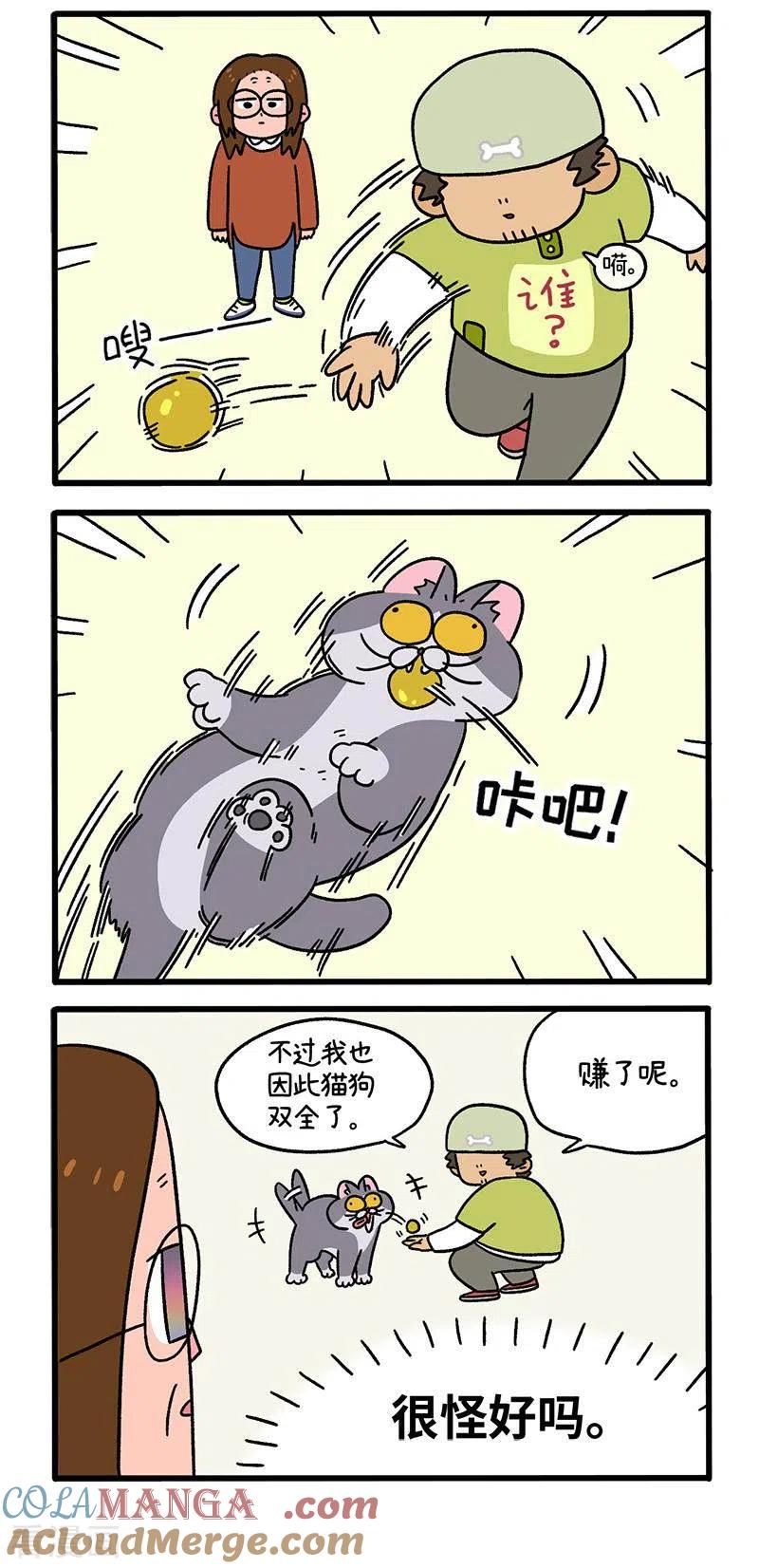 第65话1公司的猫咪聚会-阿满和麦茶-新漫画 日胖大海寺（第3张）