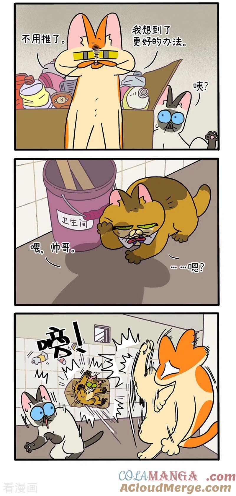 第70话2被困杂物间-阿满和麦茶-新漫画 日胖大海寺（第2张）