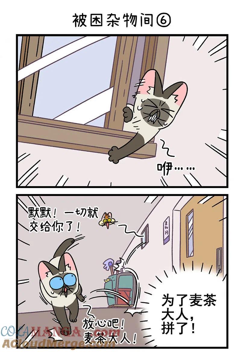 第70话2被困杂物间-阿满和麦茶-新漫画 日胖大海寺（第4张）