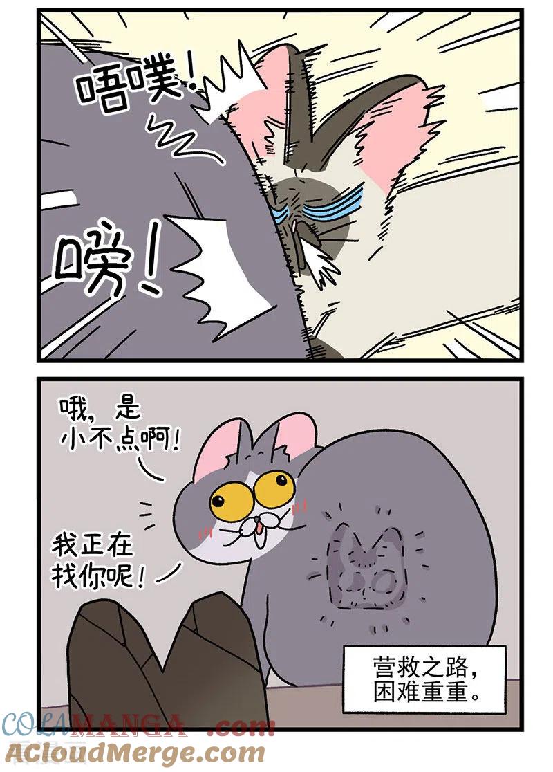 第70话2被困杂物间-阿满和麦茶-新漫画 日胖大海寺（第5张）