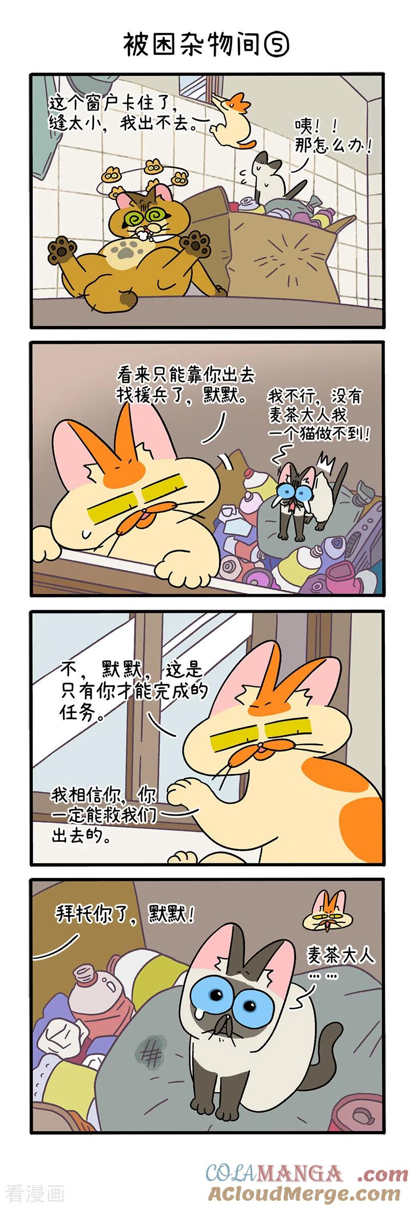 第70话2被困杂物间-阿满和麦茶-新漫画 日胖大海寺（第3张）