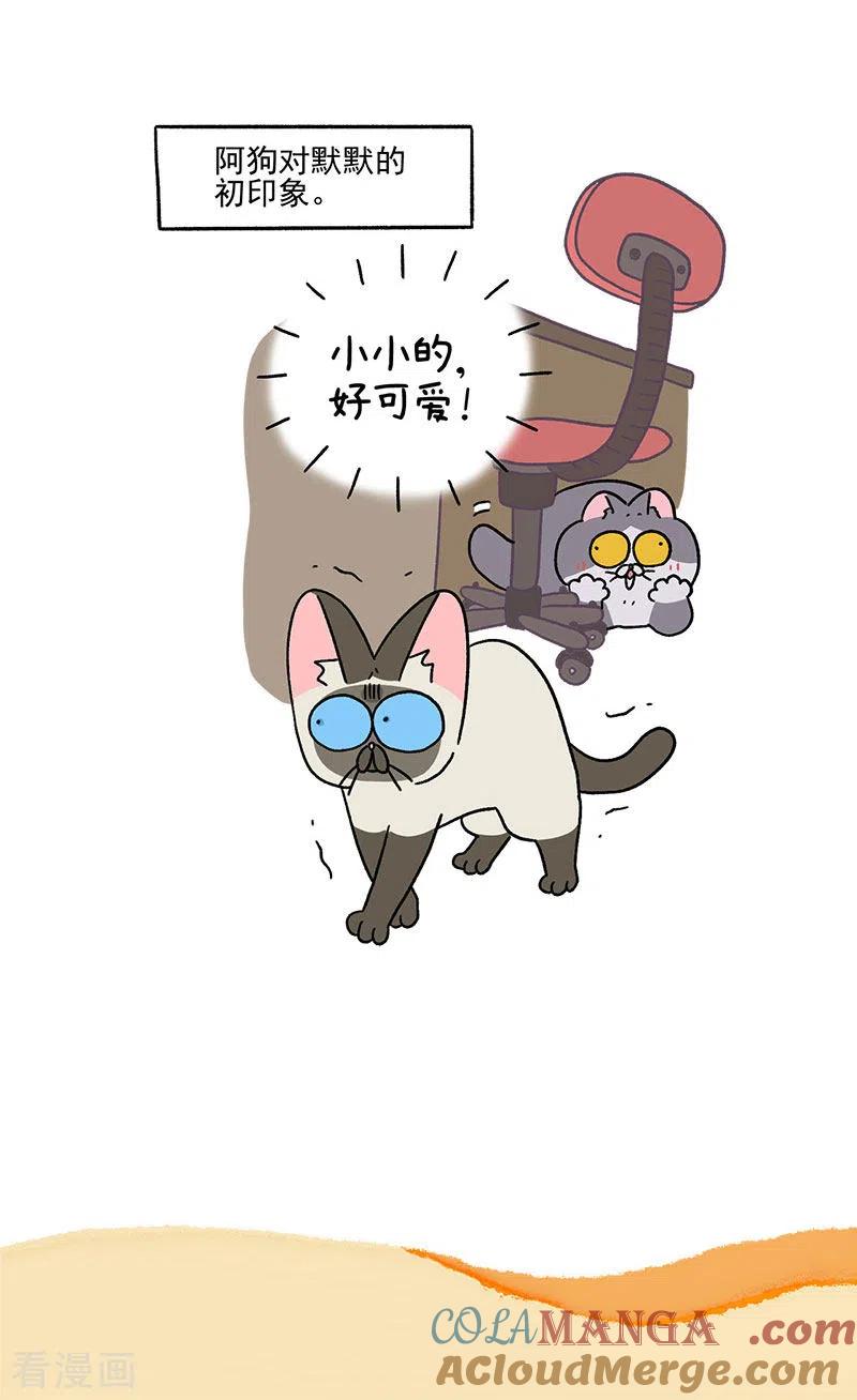 第70话2被困杂物间-阿满和麦茶-新漫画 日胖大海寺（第6张）