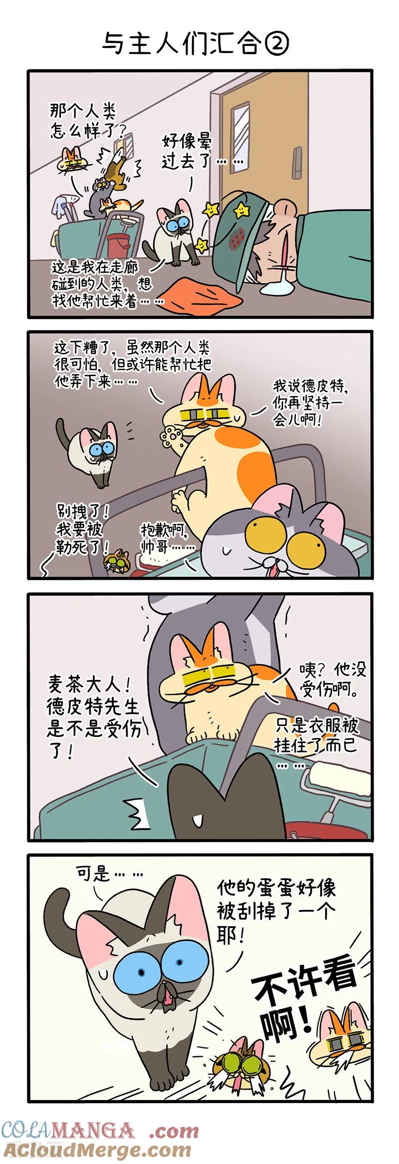 第75话1与主人们汇合-阿满和麦茶-新漫画 日胖大海寺（第3张）