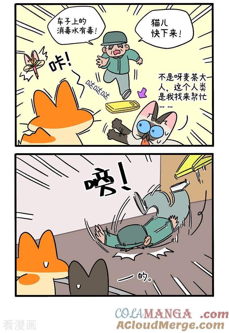 第75话1与主人们汇合-阿满和麦茶-新漫画 日胖大海寺（第2张）
