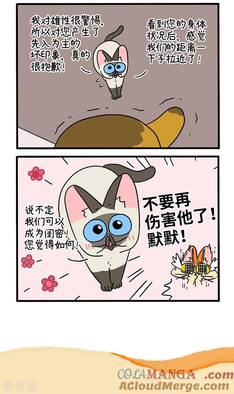 第75话1与主人们汇合-阿满和麦茶-新漫画 日胖大海寺（第5张）