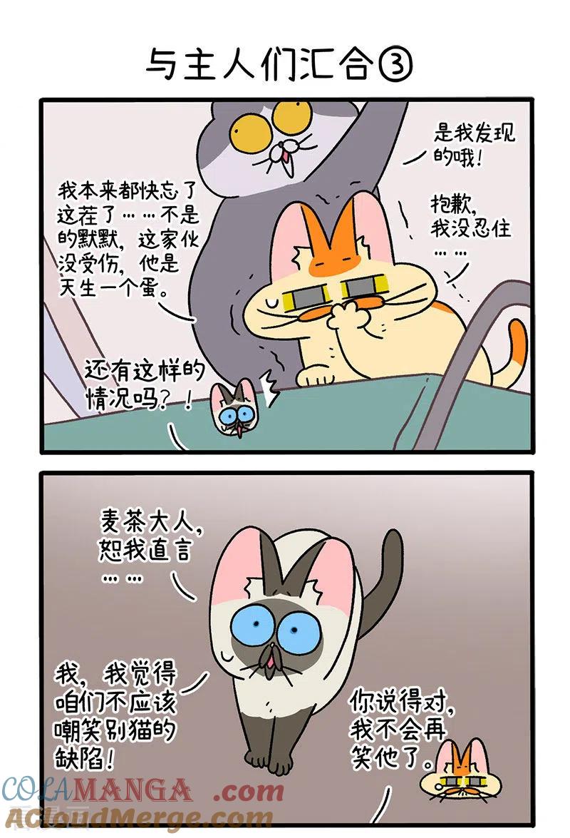 第75话1与主人们汇合-阿满和麦茶-新漫画 日胖大海寺（第4张）