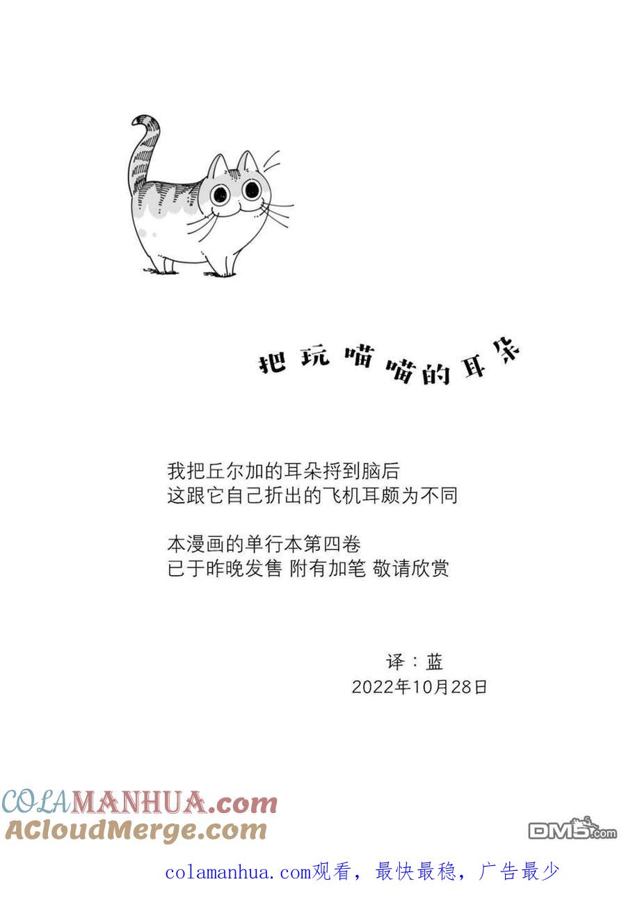 第138话-关于养猫我一直是新手-キュルZ（第2张）