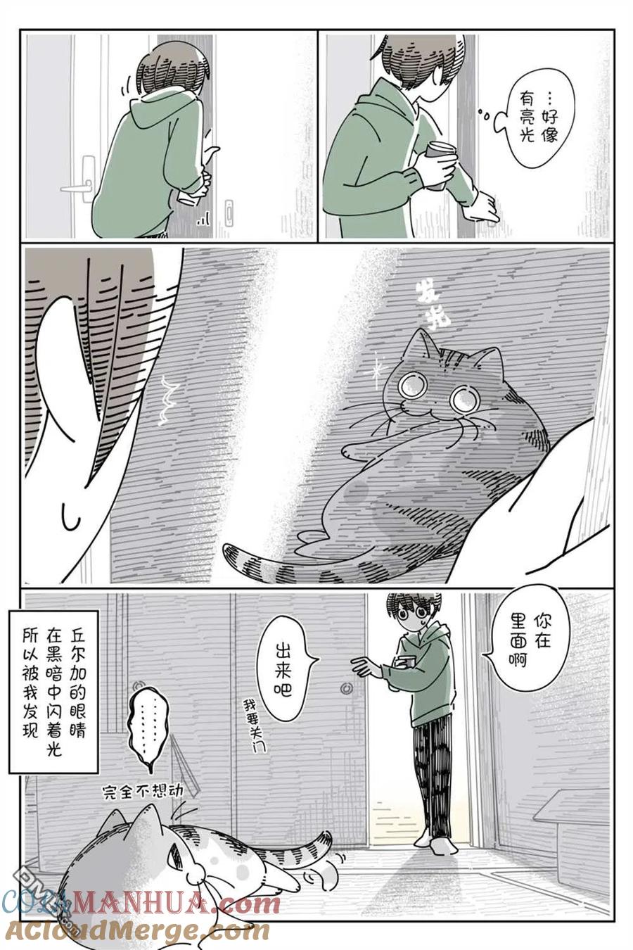 第139话-关于养猫我一直是新手-キュルZ（第2张）