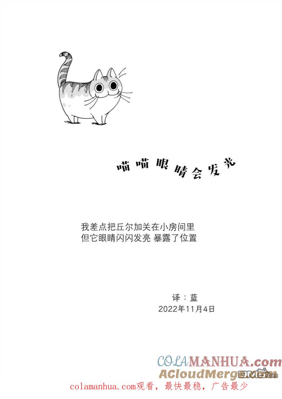 第139话-关于养猫我一直是新手-キュルZ（第3张）