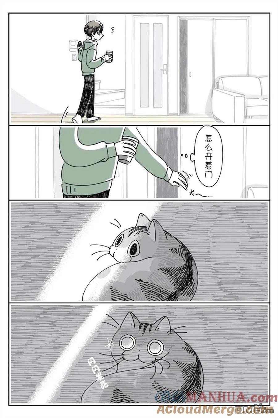 第139话-关于养猫我一直是新手-キュルZ（第1张）