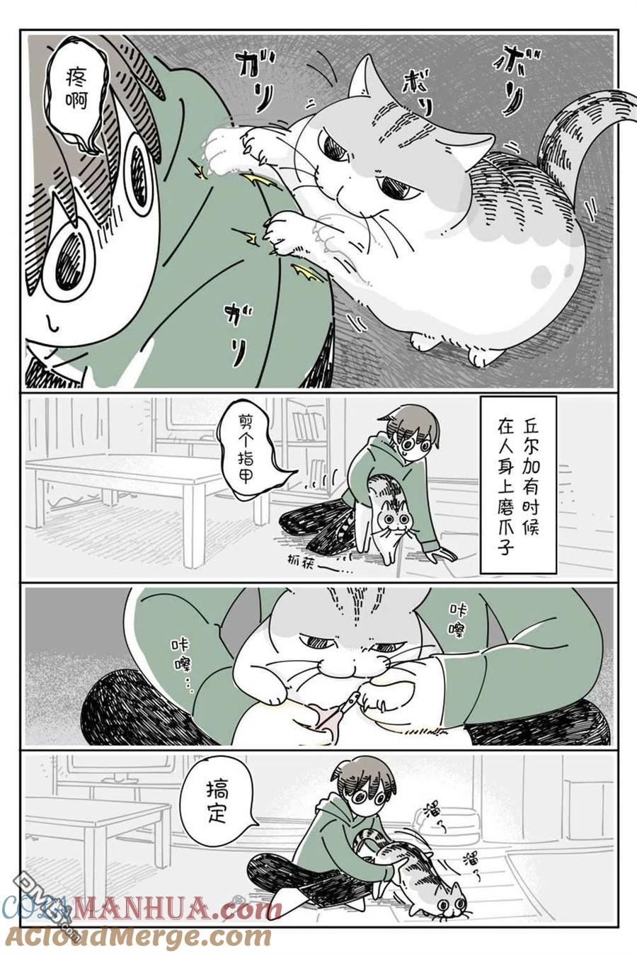 第140话-关于养猫我一直是新手-キュルZ（第1张）