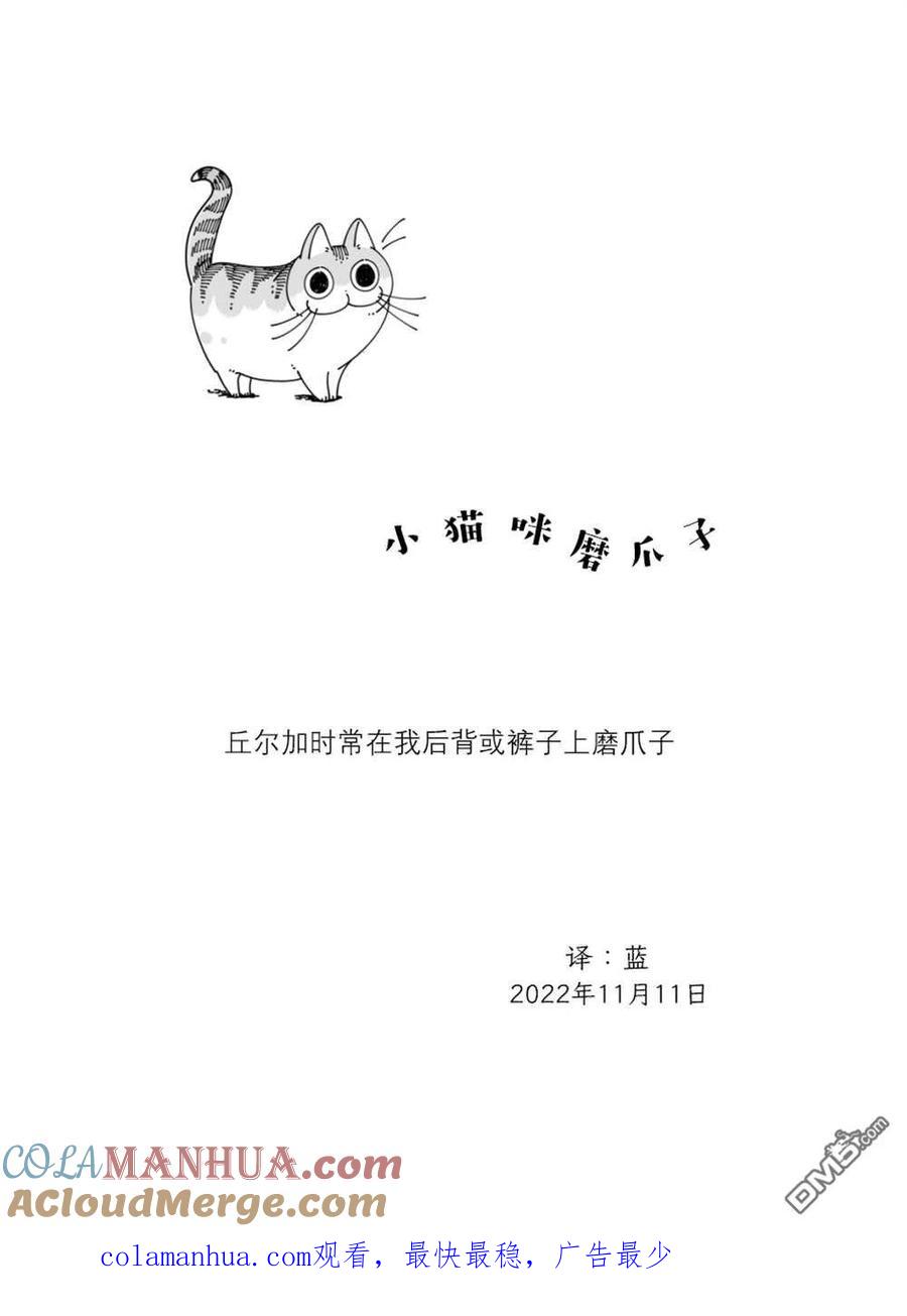 第140话-关于养猫我一直是新手-キュルZ（第3张）