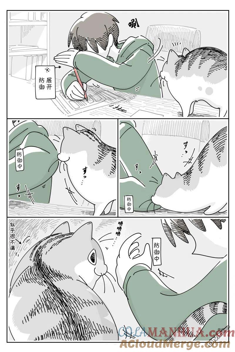 第141话-关于养猫我一直是新手-キュルZ（第2张）