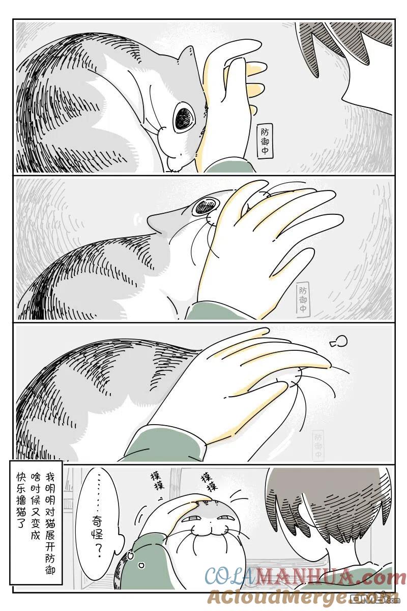 第141话-关于养猫我一直是新手-キュルZ（第3张）