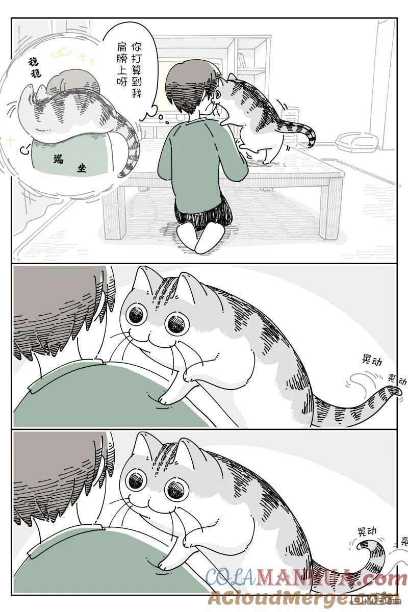 第153话-关于养猫我一直是新手-キュルZ（第1张）