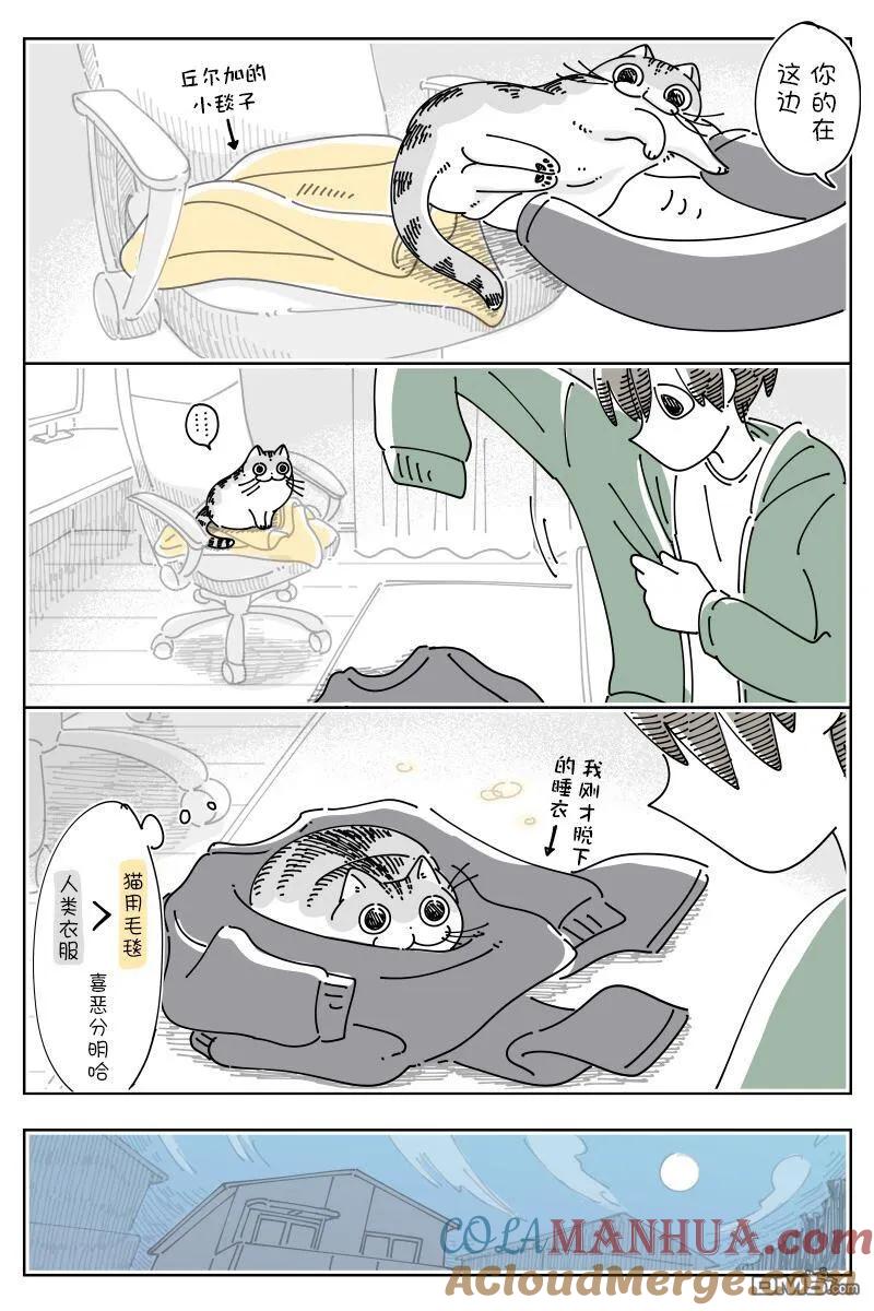第160话-关于养猫我一直是新手-キュルZ（第1张）