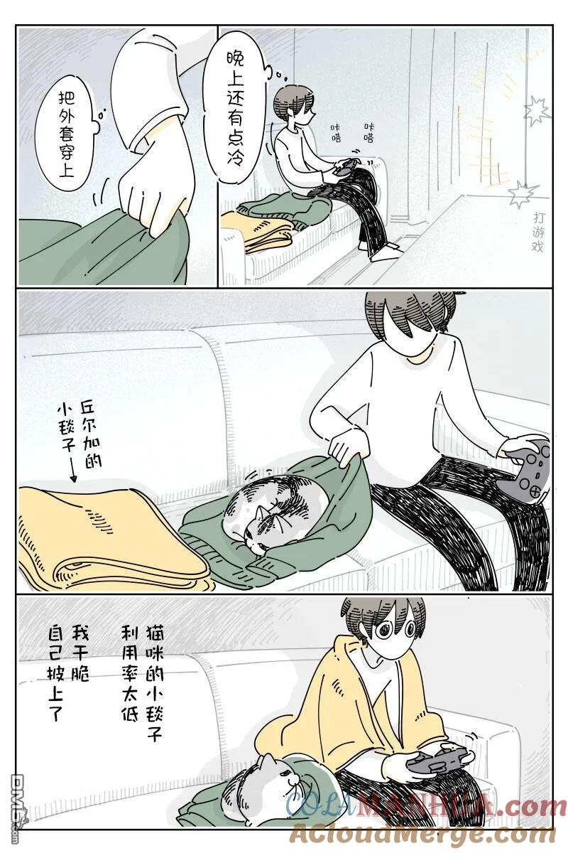 第160话-关于养猫我一直是新手-キュルZ（第2张）