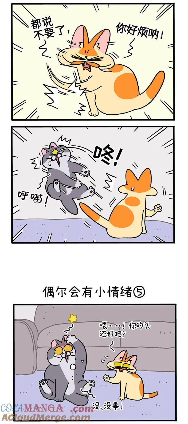 第92话2偶尔会有小情绪-阿满和麦茶-新漫画 日胖大海寺（第2张）