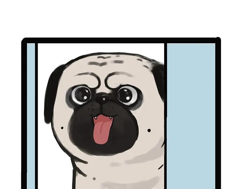 98.jpg