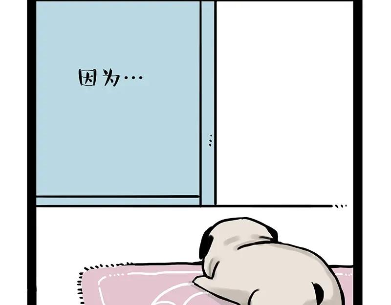 95.jpg