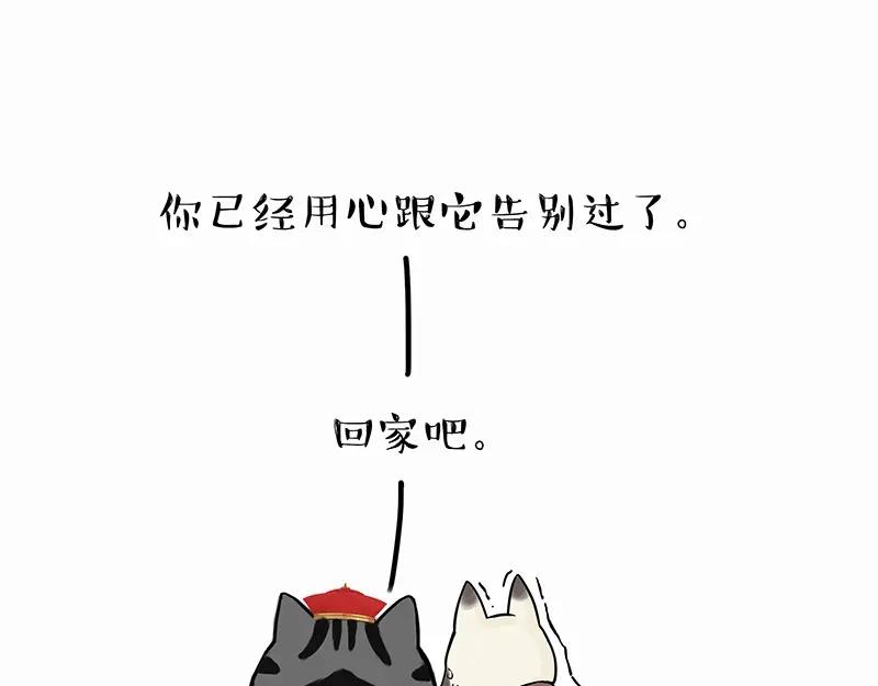 84.jpg