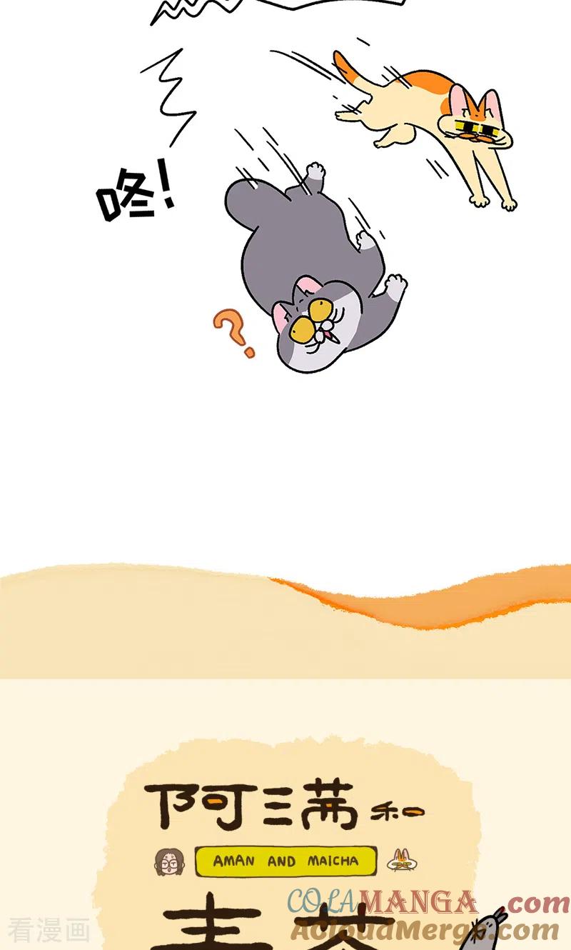 第93话两只猫陪睡-阿满和麦茶-新漫画 日胖大海寺（第7张）