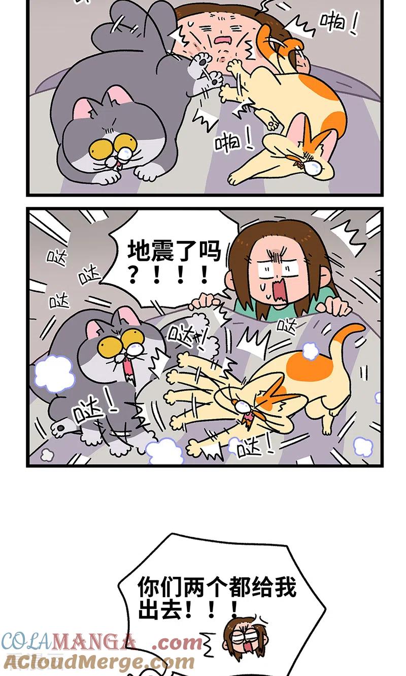第93话两只猫陪睡-阿满和麦茶-新漫画 日胖大海寺（第6张）