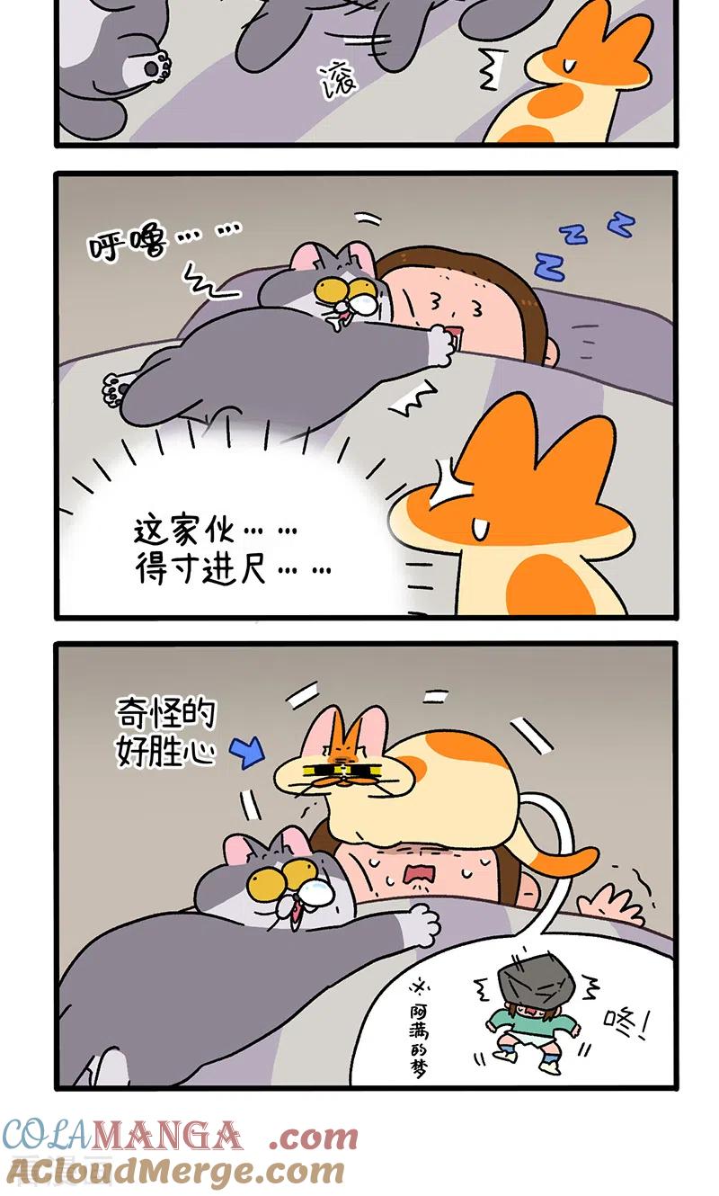 第93话两只猫陪睡-阿满和麦茶-新漫画 日胖大海寺（第4张）