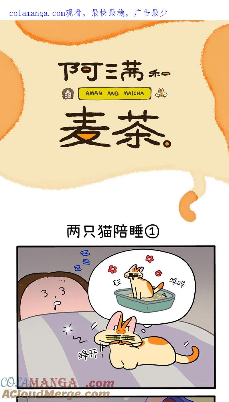第93话两只猫陪睡-阿满和麦茶-新漫画 日胖大海寺（第1张）