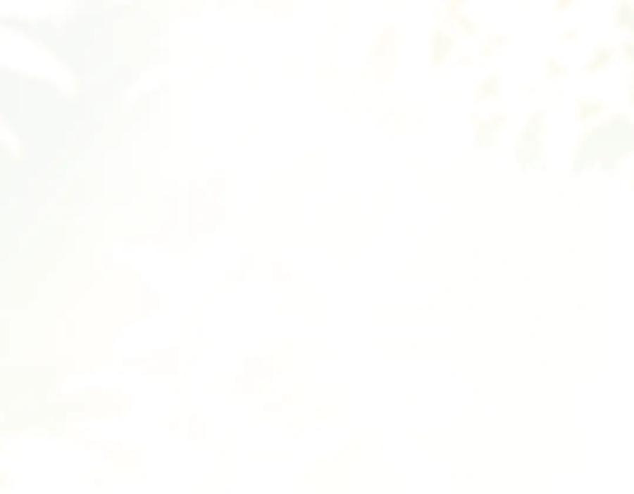 116.jpg
