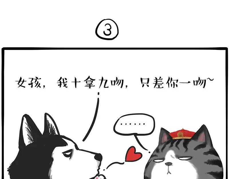 17.jpg