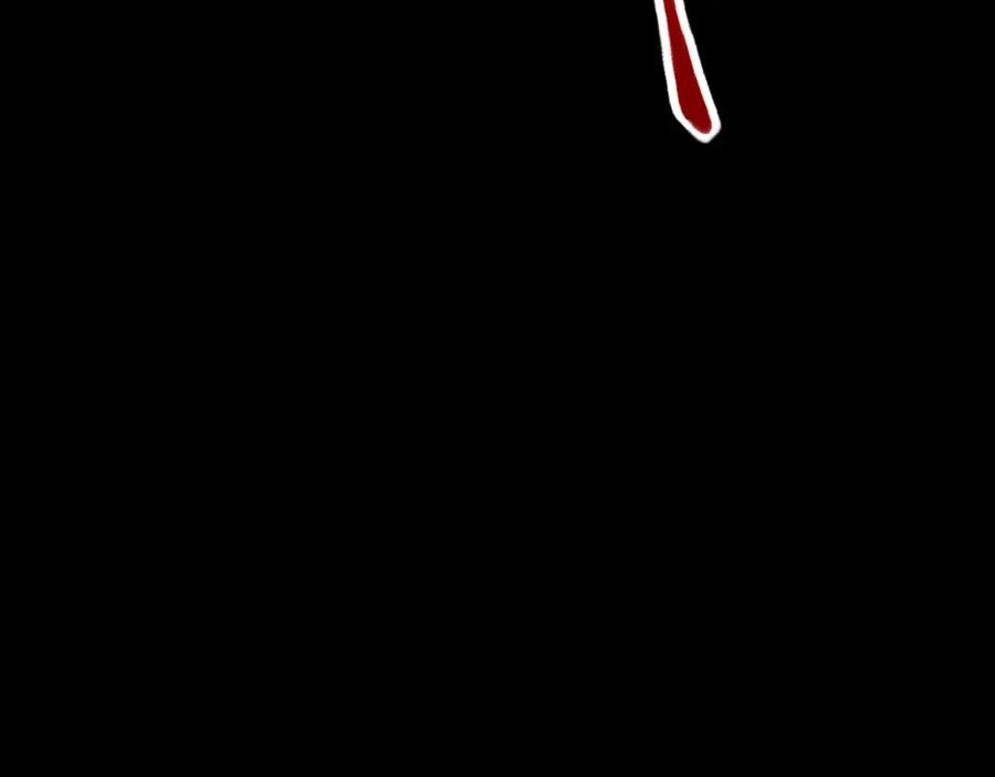 96.jpg