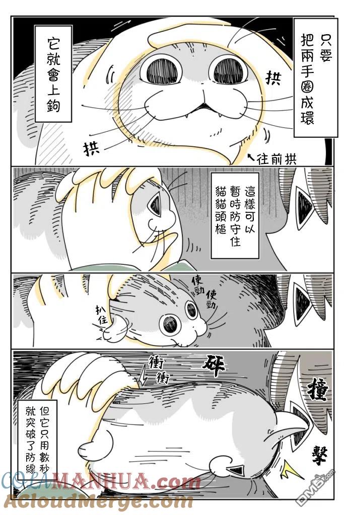 第36话-关于养猫我一直是新手-キュルZ（第2张）