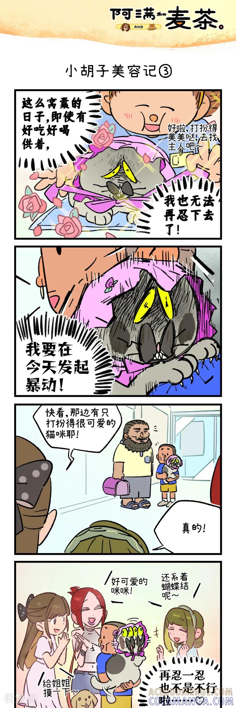 第257话-阿满和麦茶-新漫画 日胖大海寺（第5张）