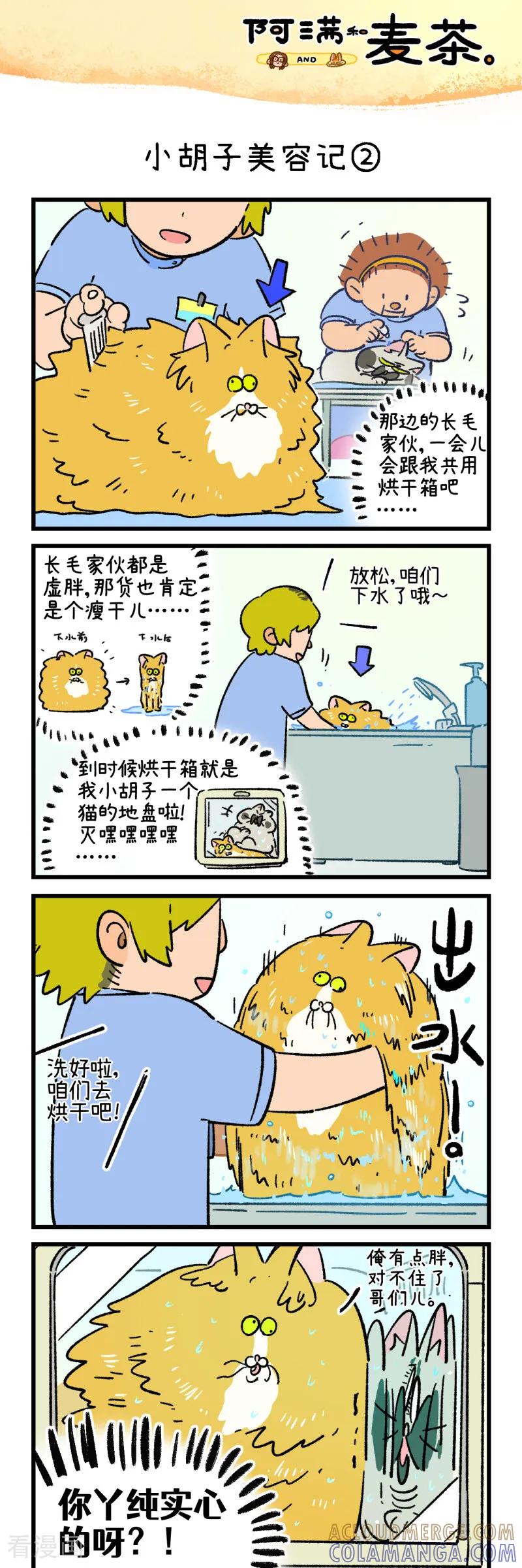 第257话-阿满和麦茶-新漫画 日胖大海寺（第3张）