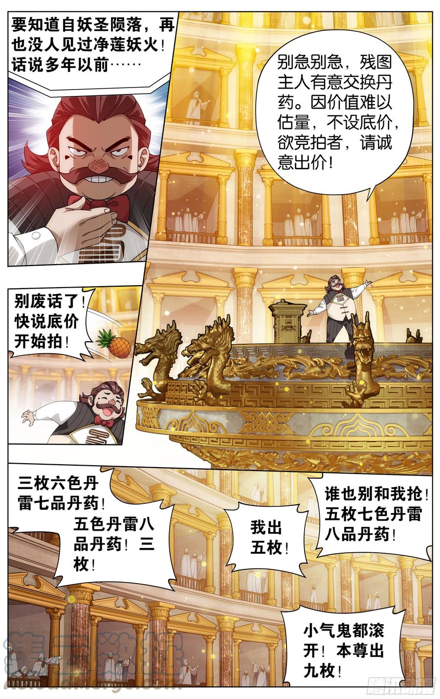 11.jpg