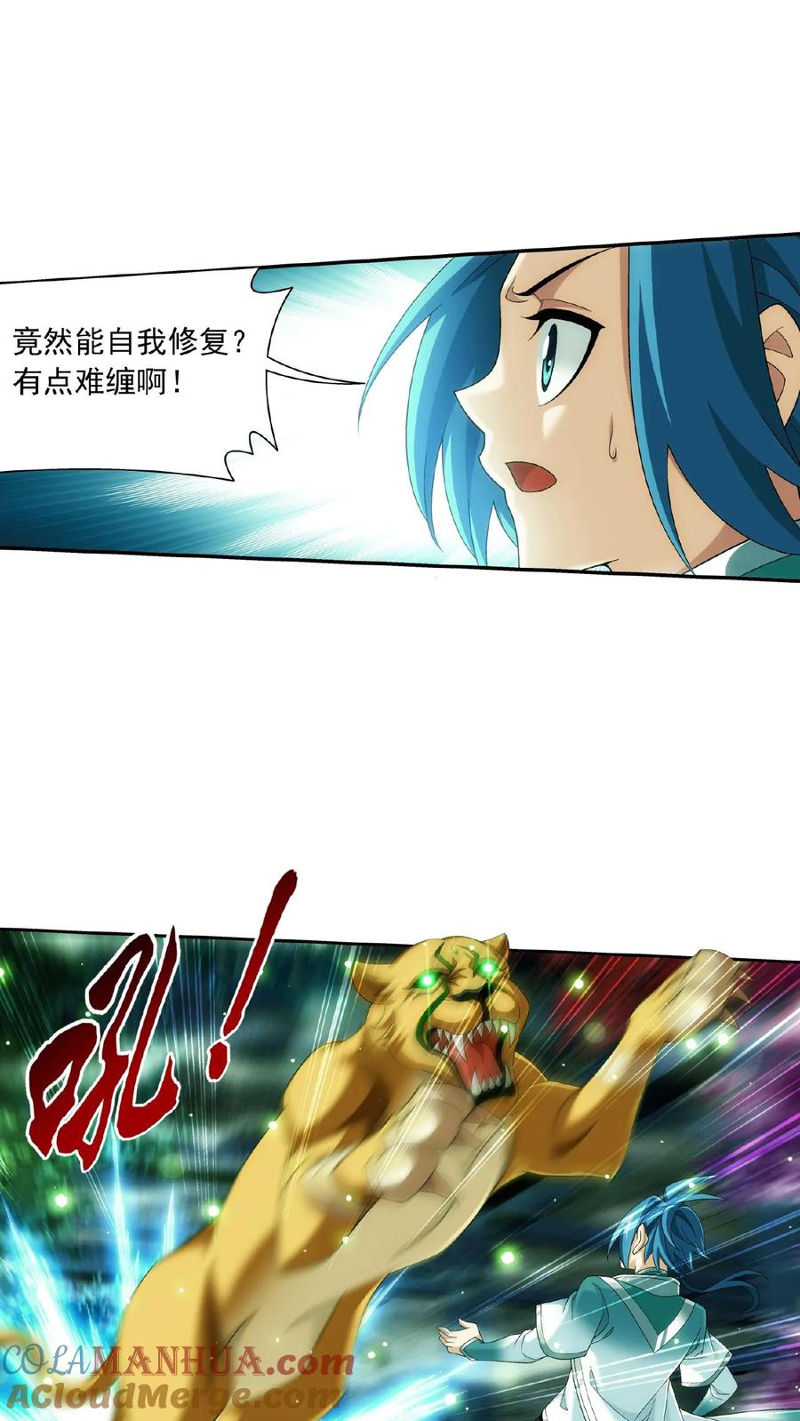 5.jpg