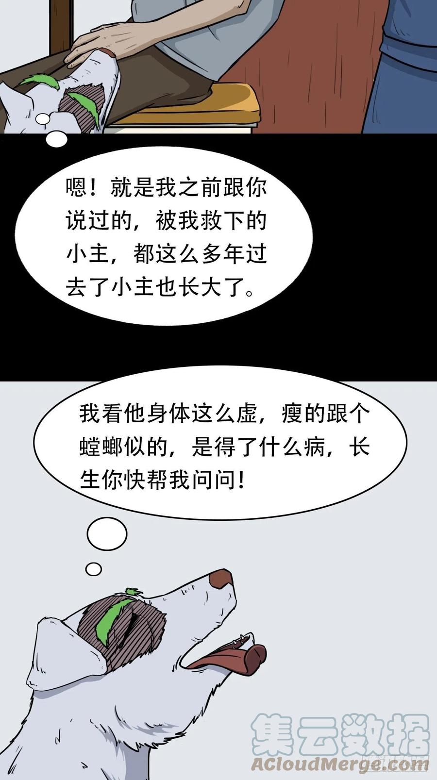 19.jpg