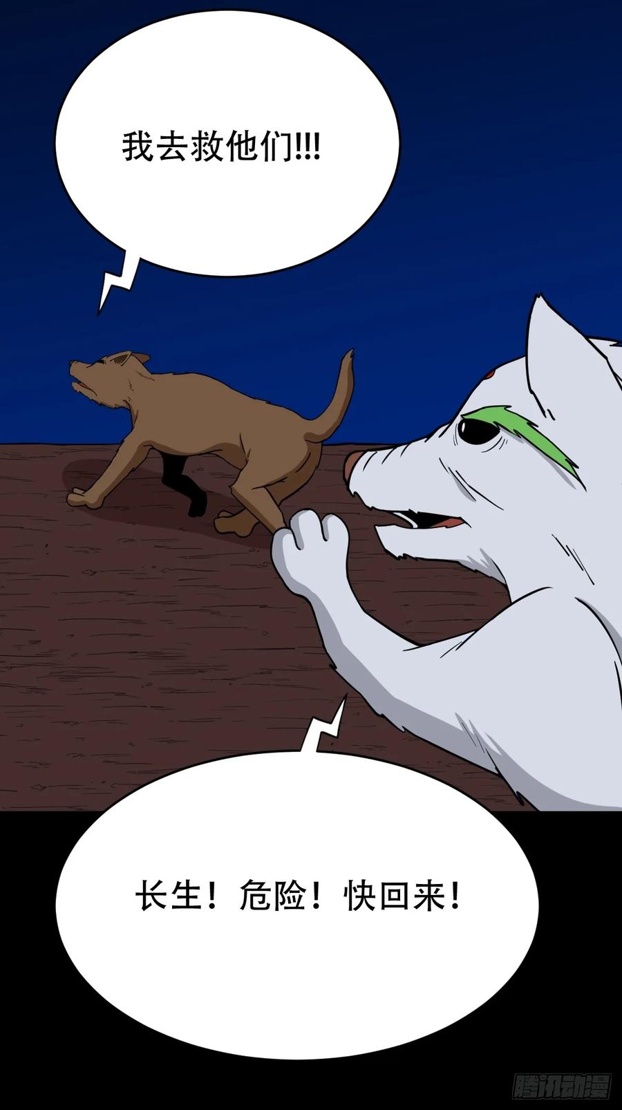 21.jpg
