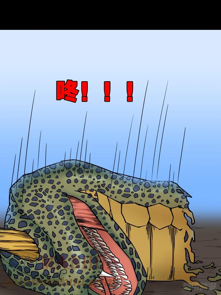 34.jpg