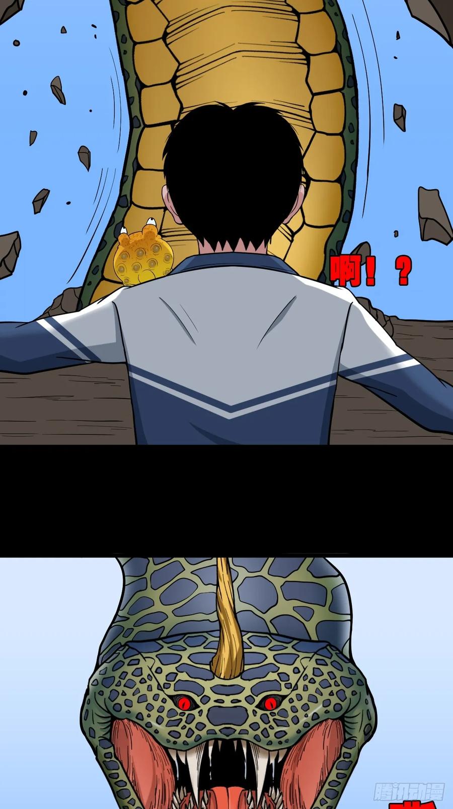 17.jpg