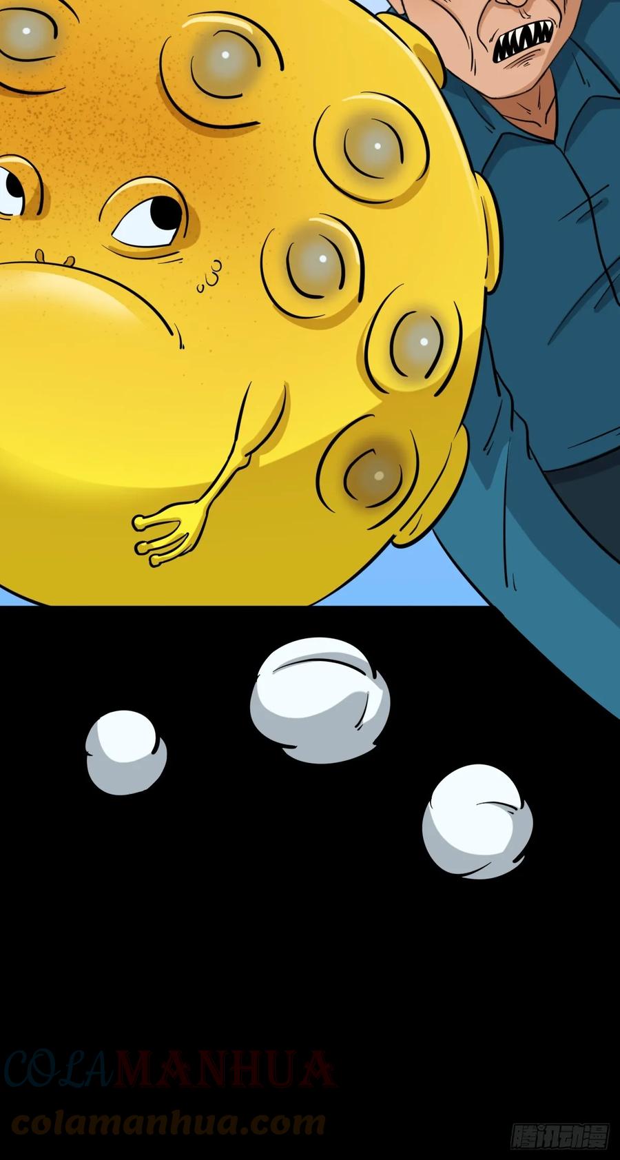 25.jpg
