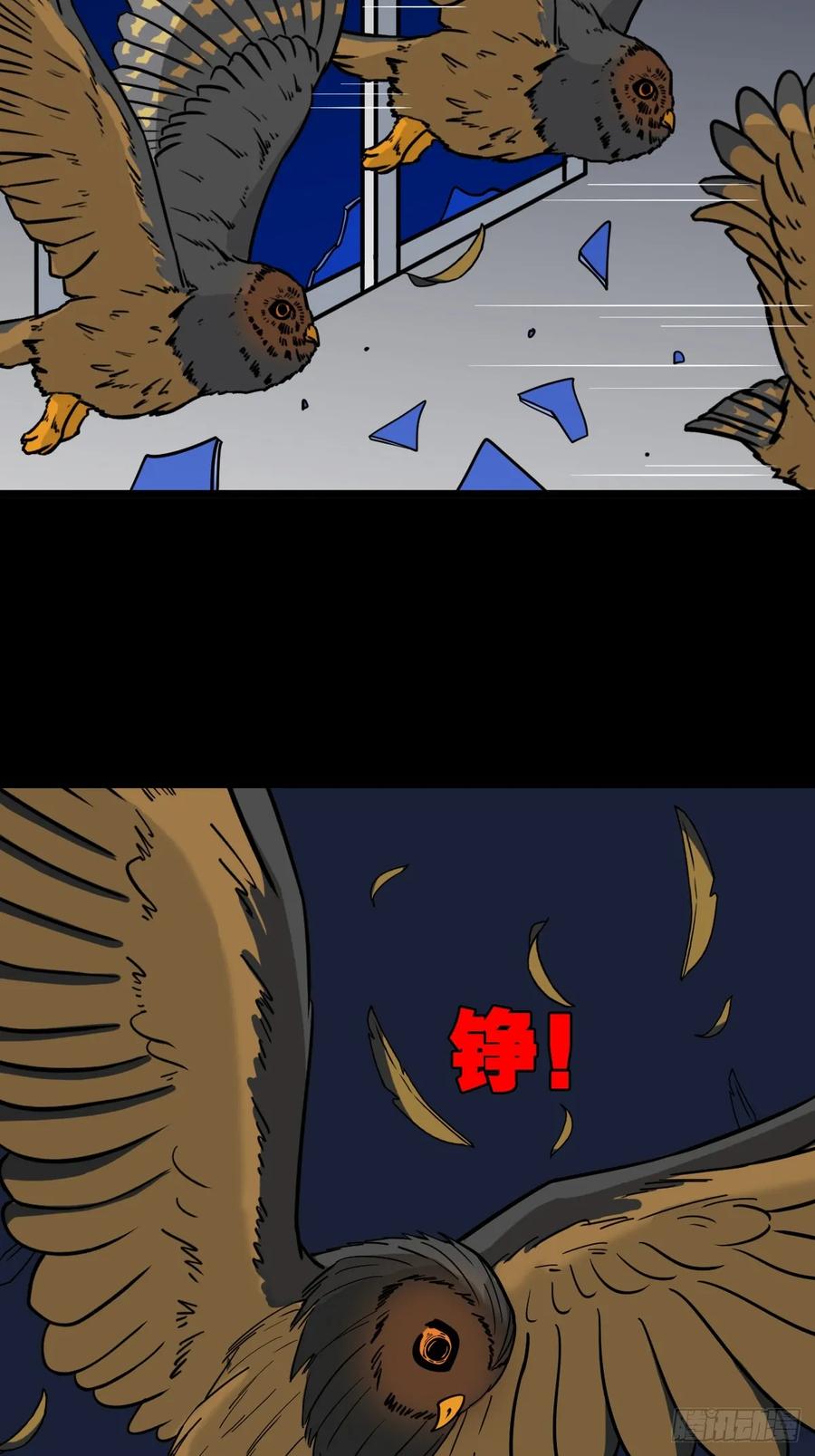47.jpg