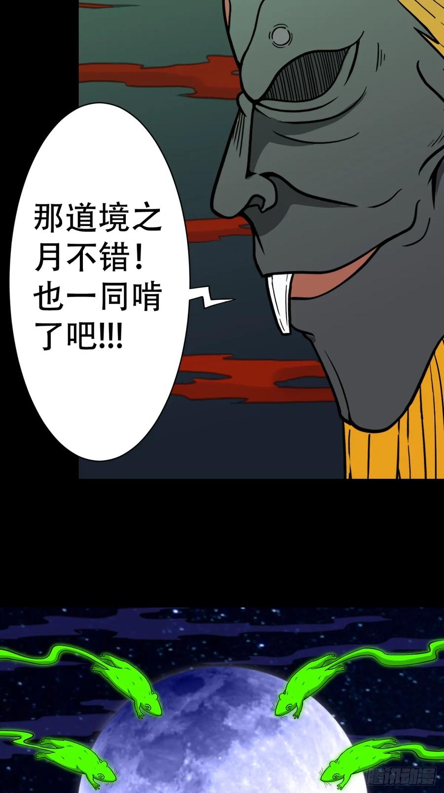 47.jpg