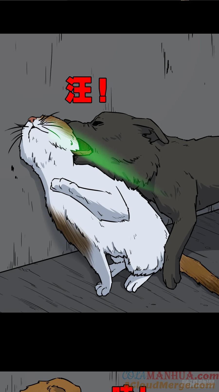 31.jpg