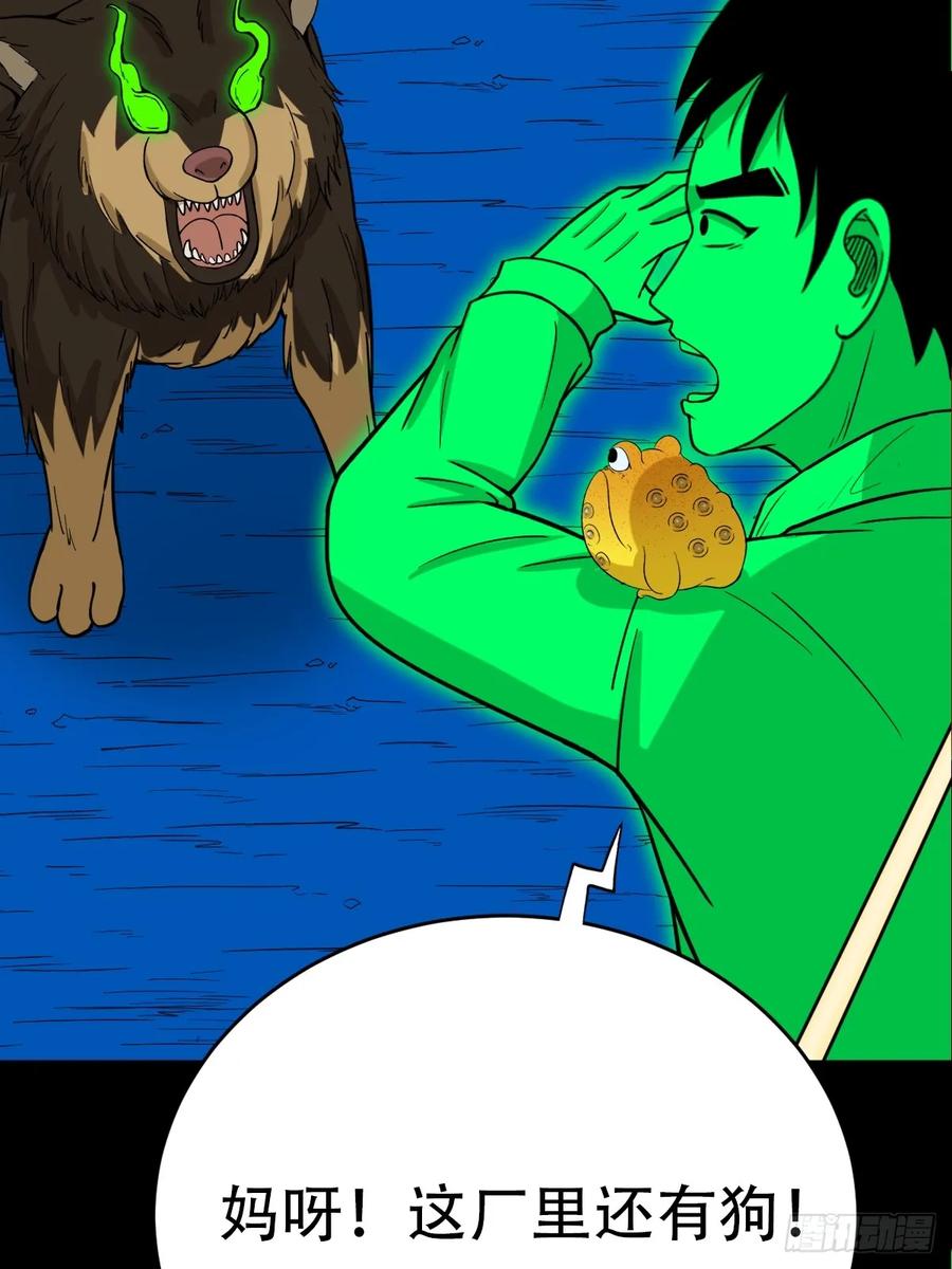 23.jpg