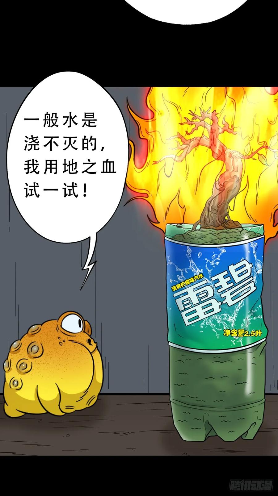 21.jpg
