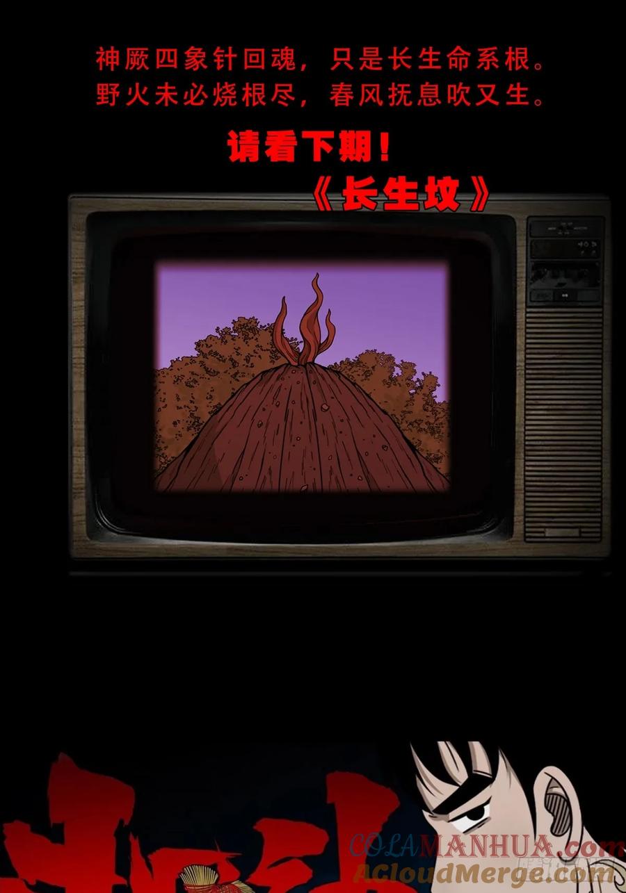 55.jpg