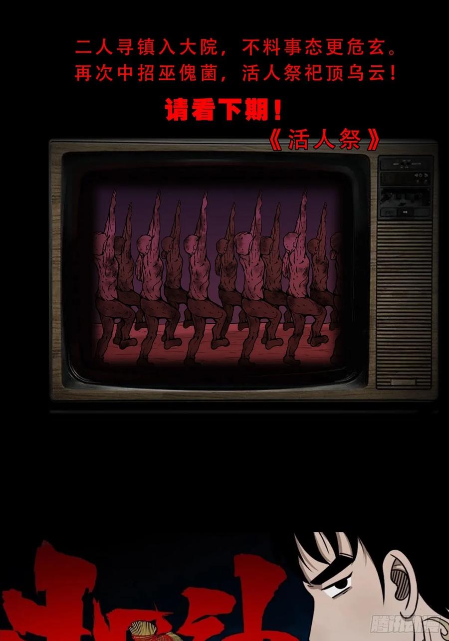 51.jpg